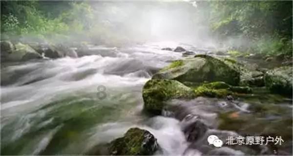 王思聪路边吃铁锅炖肉,只花上百元难得节省,你觉得呢?-热门话题讨论社区
